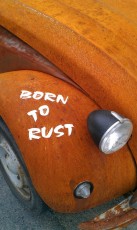 2cv born to rust 11
